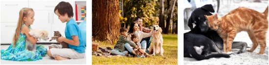 families interacting with pets